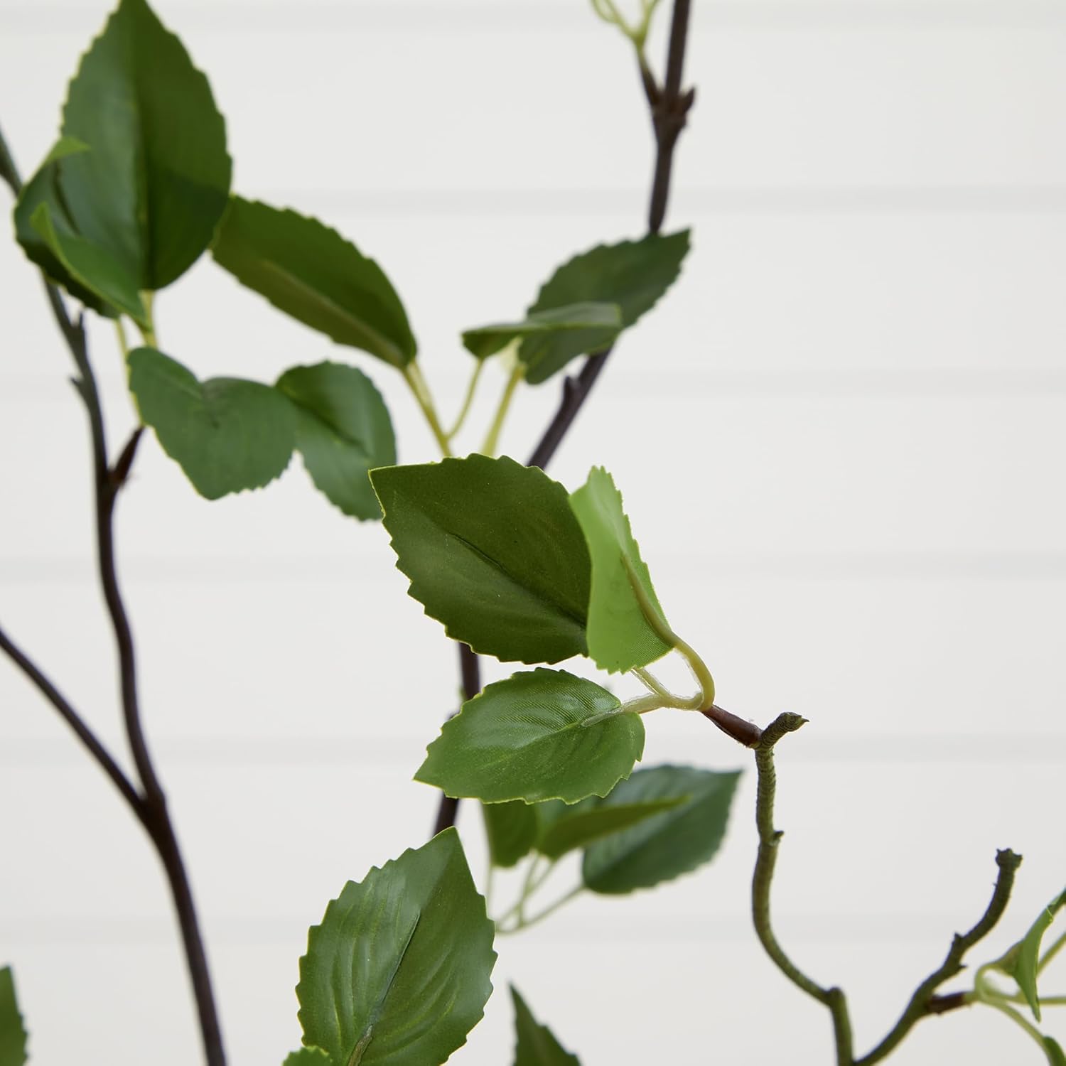 Artificial Citrus Tree – Minimalist Home Decor Plant